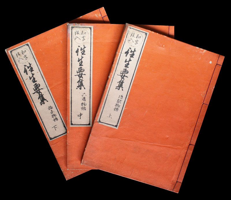 Holzschnittbuch-Japan-Buddhism-Hell-Story-HSB090U
