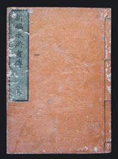 Wellenmotiv Holzschnitt Buch Edo Japan