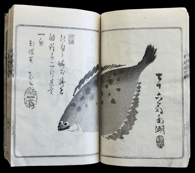 Edo Cookbook Holzschnittbuch Japan C
